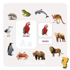 Pack 05 - 40 Cartões de Linguagem - Animais Selvagens (PDF)